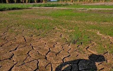 FONTAGRO lanza concurso de casos innovadores en adaptación al cambio climático de la agricultura familiar