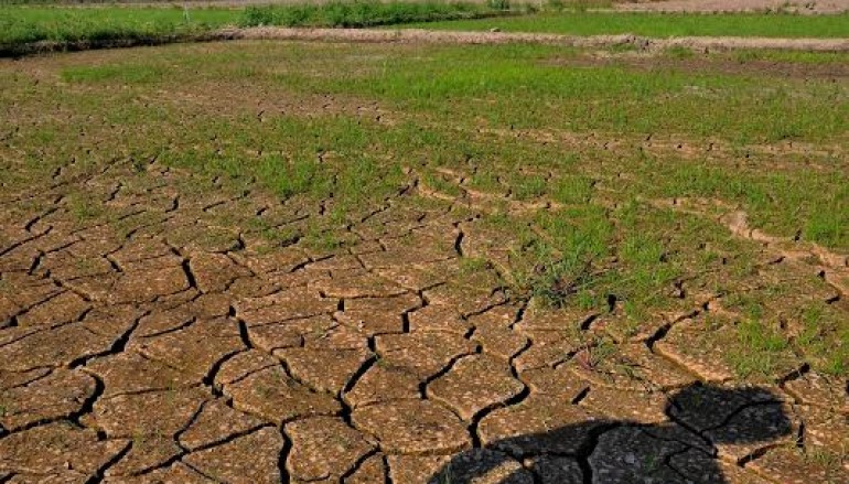 FONTAGRO lanza concurso de casos innovadores en adaptación al cambio climático de la agricultura familiar