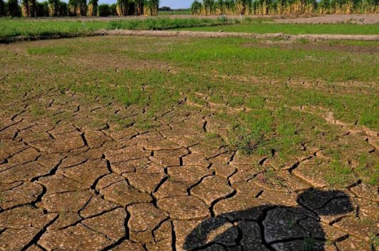 FONTAGRO lanza concurso de casos innovadores en adaptación al cambio climático de la agricultura familiar
