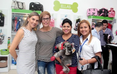 Kaspet Boutique para mascotas en Panamá