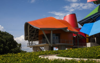 EL BIOMUSEO ACTIVIDADES EN JUNIO PARA VISITAR EN FAMILIA