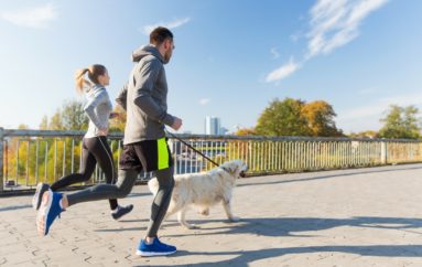 Regresa la Carrera – Caminata Running with Dog