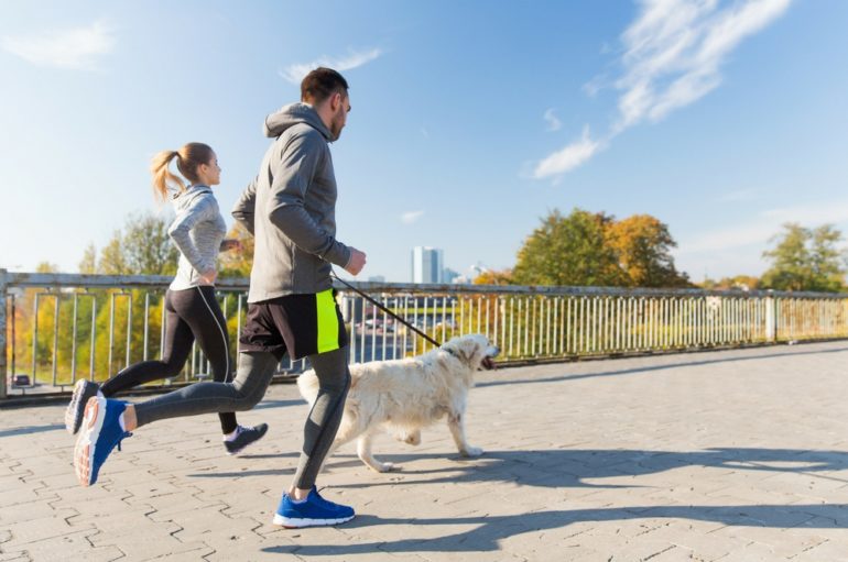 Regresa la Carrera – Caminata Running with Dog