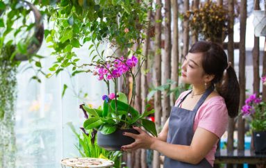 SABIAS QUE LAS PLANTAS  TE AYUDAN A TENER ARMONÍA