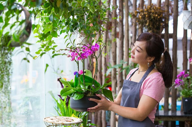 SABIAS QUE LAS PLANTAS  TE AYUDAN A TENER ARMONÍA