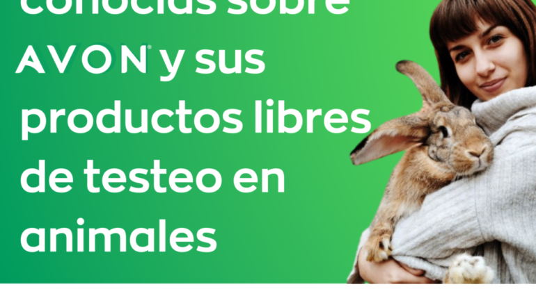 AVON NO TESTEO EN ANIMALES