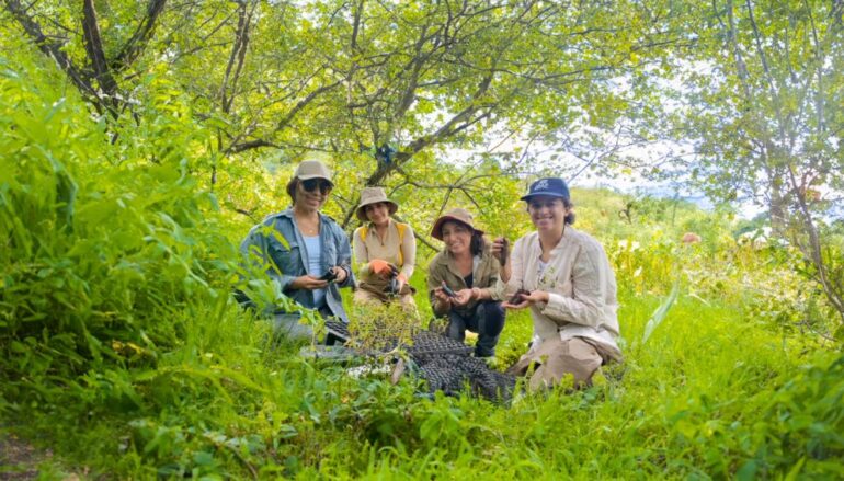 CONOCE LA INICIATIVA QUE RESCATA BOSQUES ANDINOS EN ARGENTINA